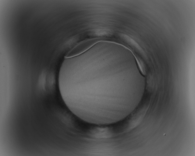 X0000092080260200710031141