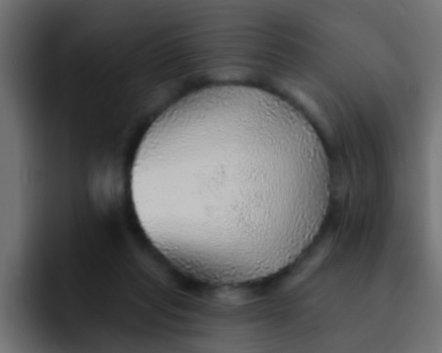 X0000092080261200710031141