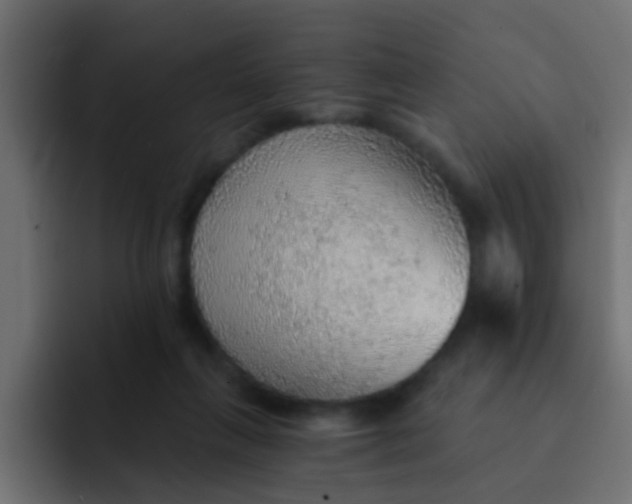 X0000092080263200710031141