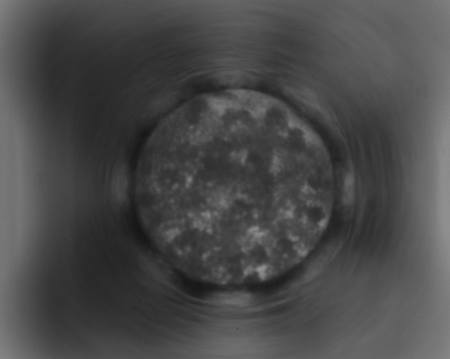 X0000092080266200710031142