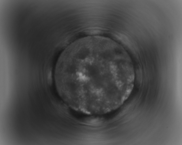 X0000092080267200710031142