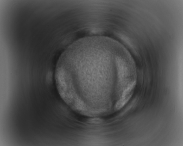 X0000092080269200710031142