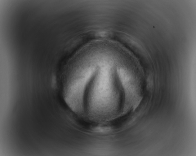 X0000092080270200710031142