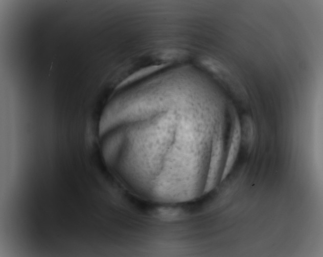 X0000092080272200710031142