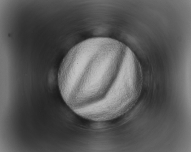 X0000092080273200710031142