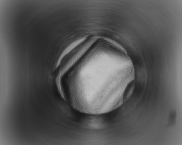 X0000092080275200710031142