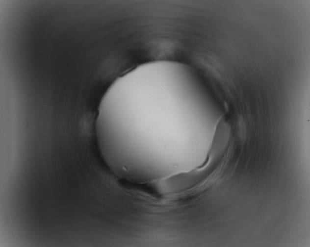 X0000092080280200710031142