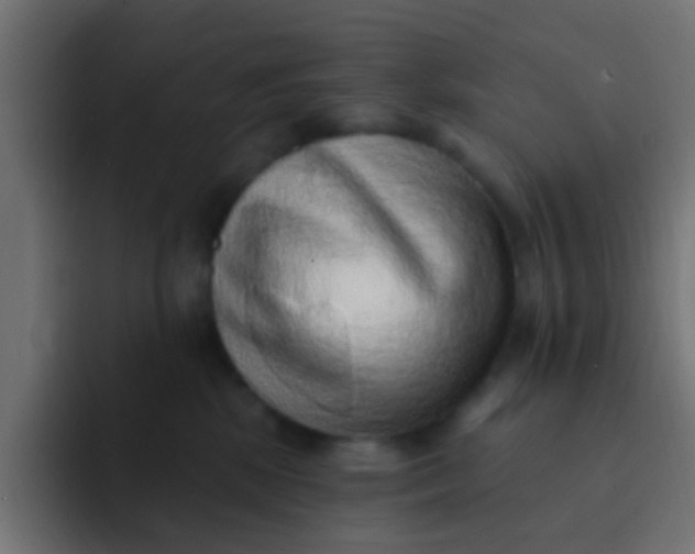 X0000092080281200710031142