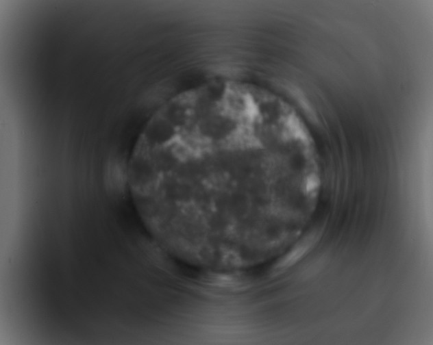 X0000092080285200710031142