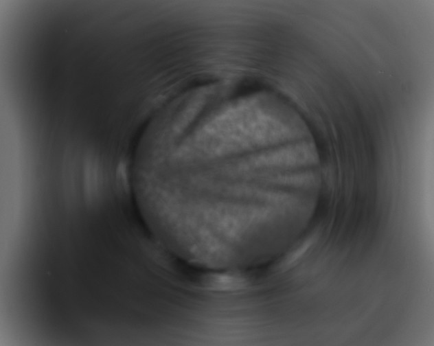 X0000092080286200710031142