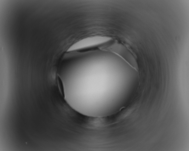 X0000092080288200710031142