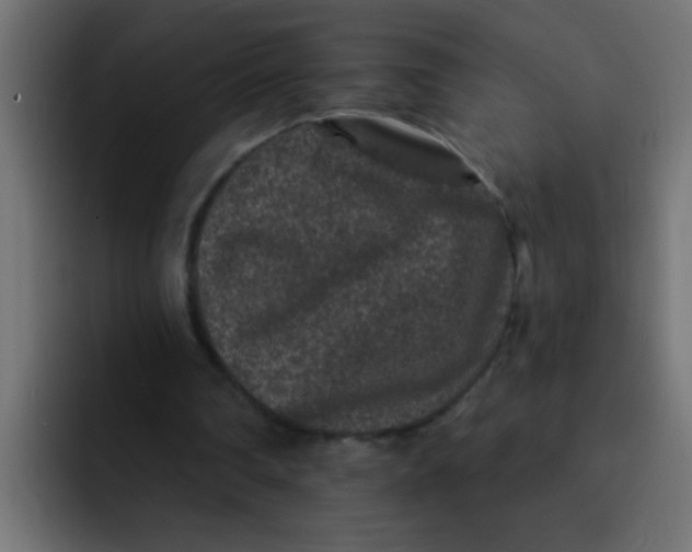 X0000092080290200710031141