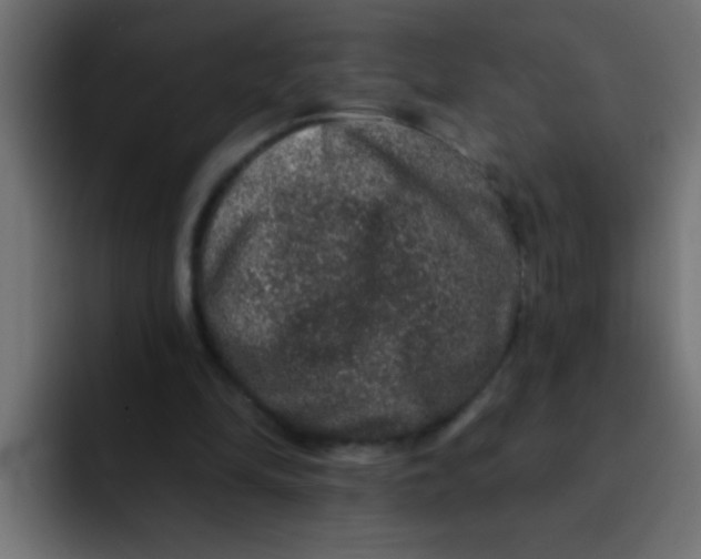 X0000092080294200710031141