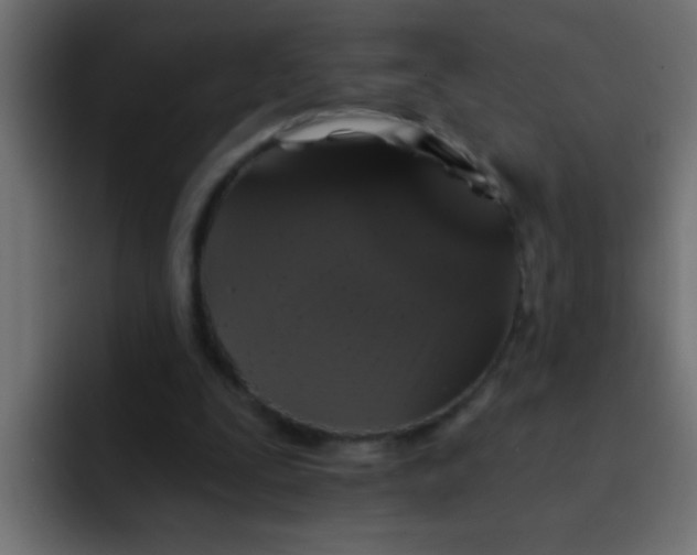 X0000092080295200710031141