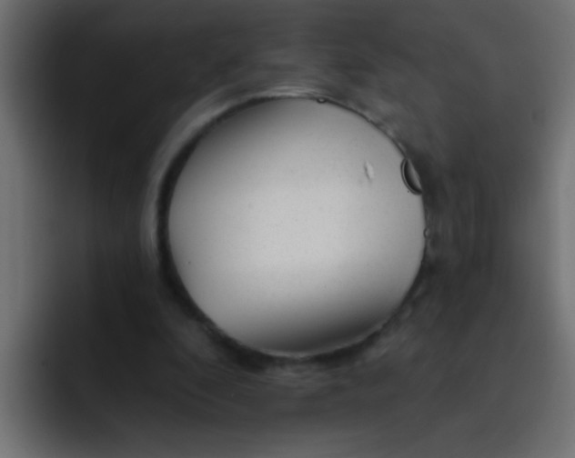 X0000092080296200710031141