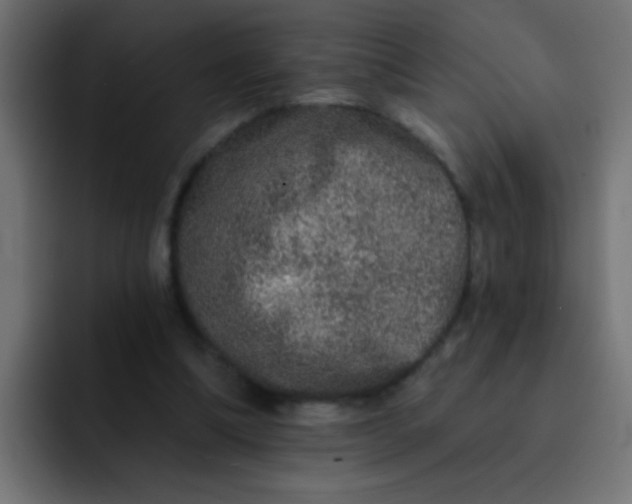 X0000092080298200710031141