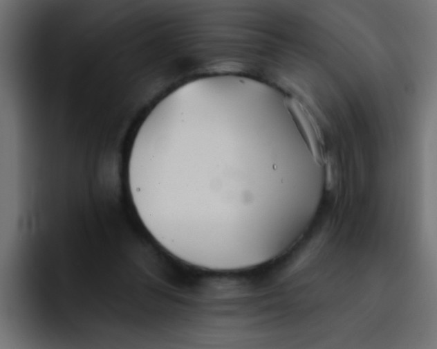 X0000092080300200710031141