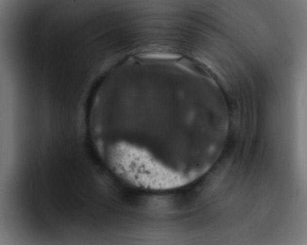 X0000092080303200710031141