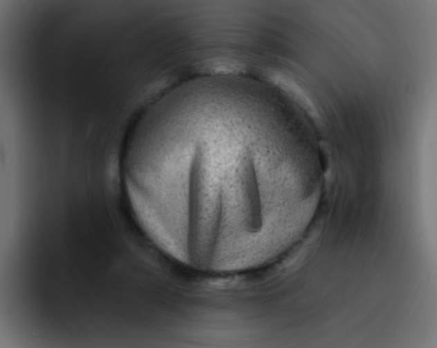 X0000092080306200710031141