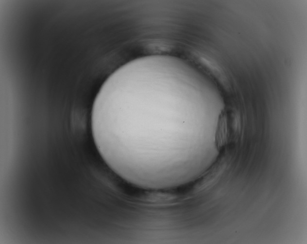 X0000092080315200710031141