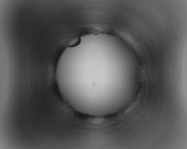 X0000092080318200710031141