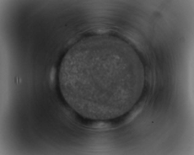 X0000092080319200710031141