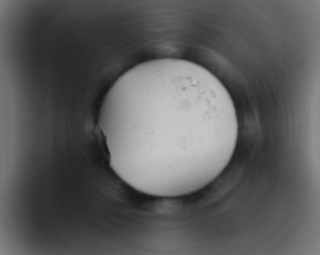 X0000092080320200710031141