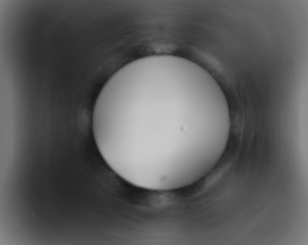 X0000092080321200710031141