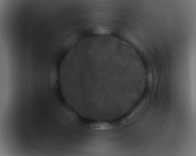 X0000092080322200710031141