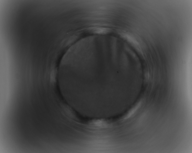 X0000092080325200710031141