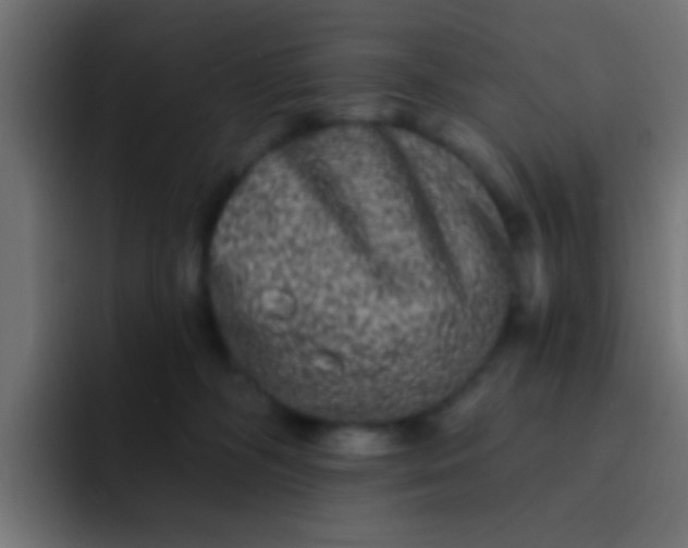 X0000092080326200710031141