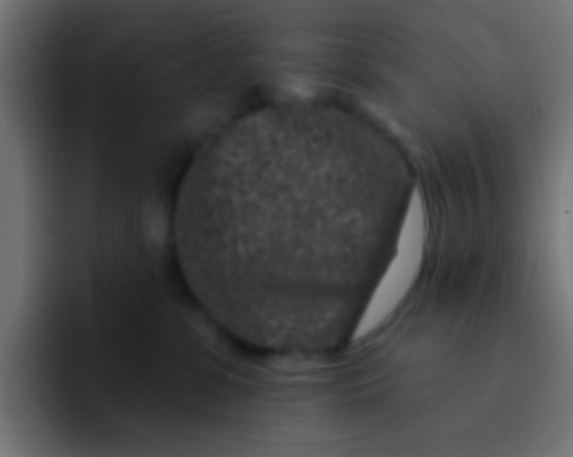 X0000092080331200710031141