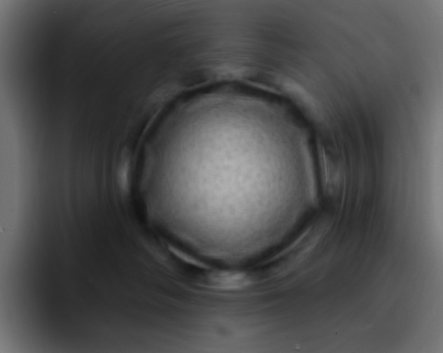 X0000092080334200710031141