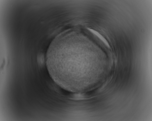 X0000092080335200710031141