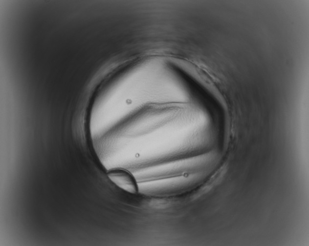 X0000092080341200710031140