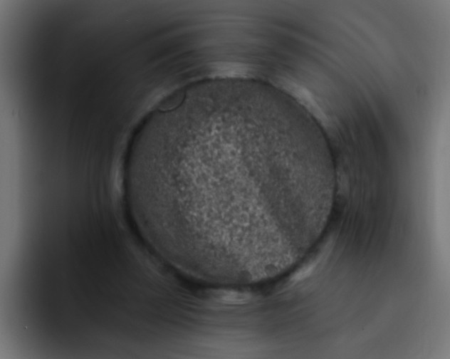 X0000092080347200710031140