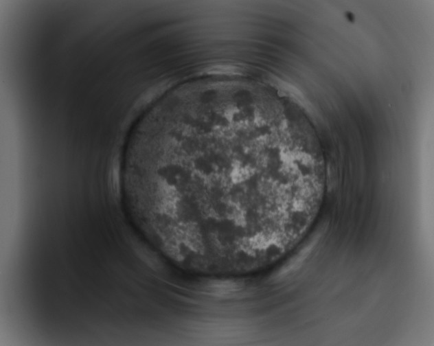 X0000092080349200710031140