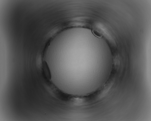 X0000092080352200710031140