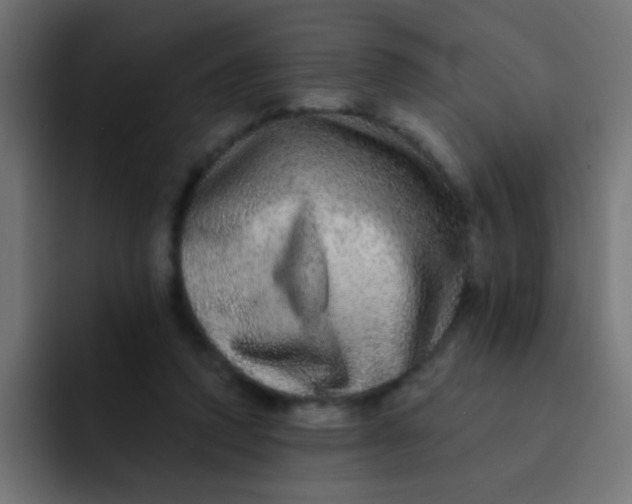 X0000092080354200710031140