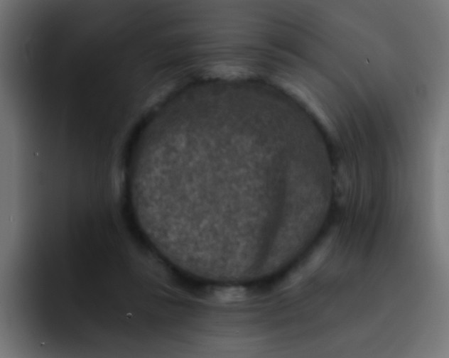 X0000092080355200710031140