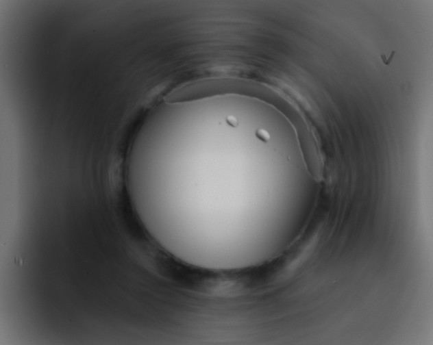 X0000092080356200710031140