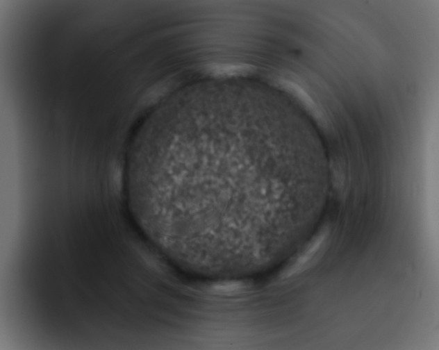 X0000092080357200710031140