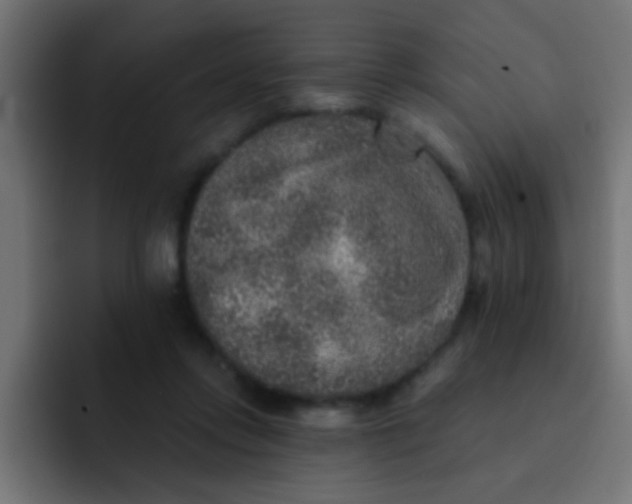 X0000092080358200710031140