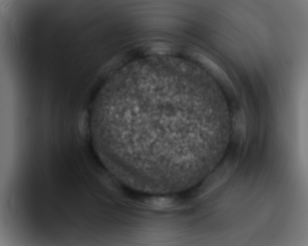 X0000092080361200710031140