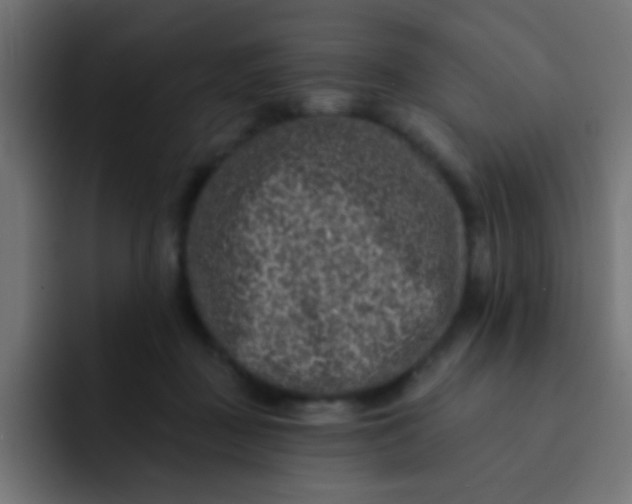 X0000092080363200710031140