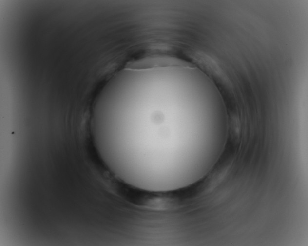 X0000092080364200710031140