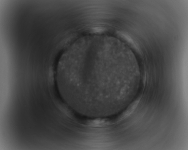 X0000092080366200710031140