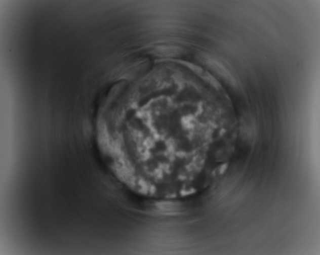 X0000092080371200710031140