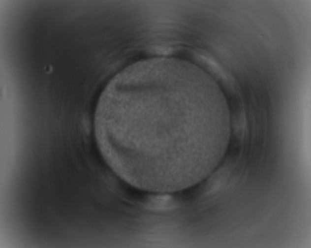 X0000092080374200710031141