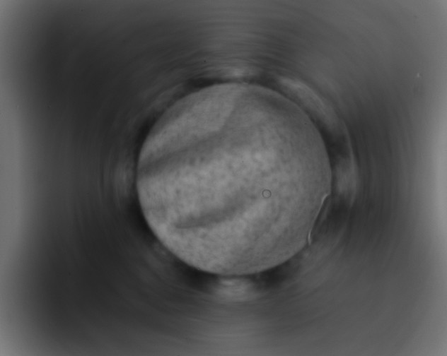 X0000092080376200710031141